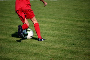 kaiyun电竞-意甲裁判语义分析系统在比赛判罚中的应用研究，意甲裁判名单